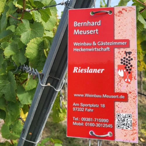 Rieslaner Trauben wurden von Bernhard für die Trockenbeerenauslese vorbereitet